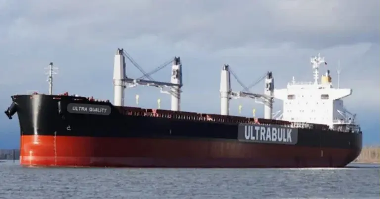 গমবাহী জাহাজ